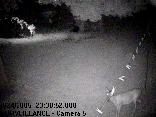 High Range IR Camera